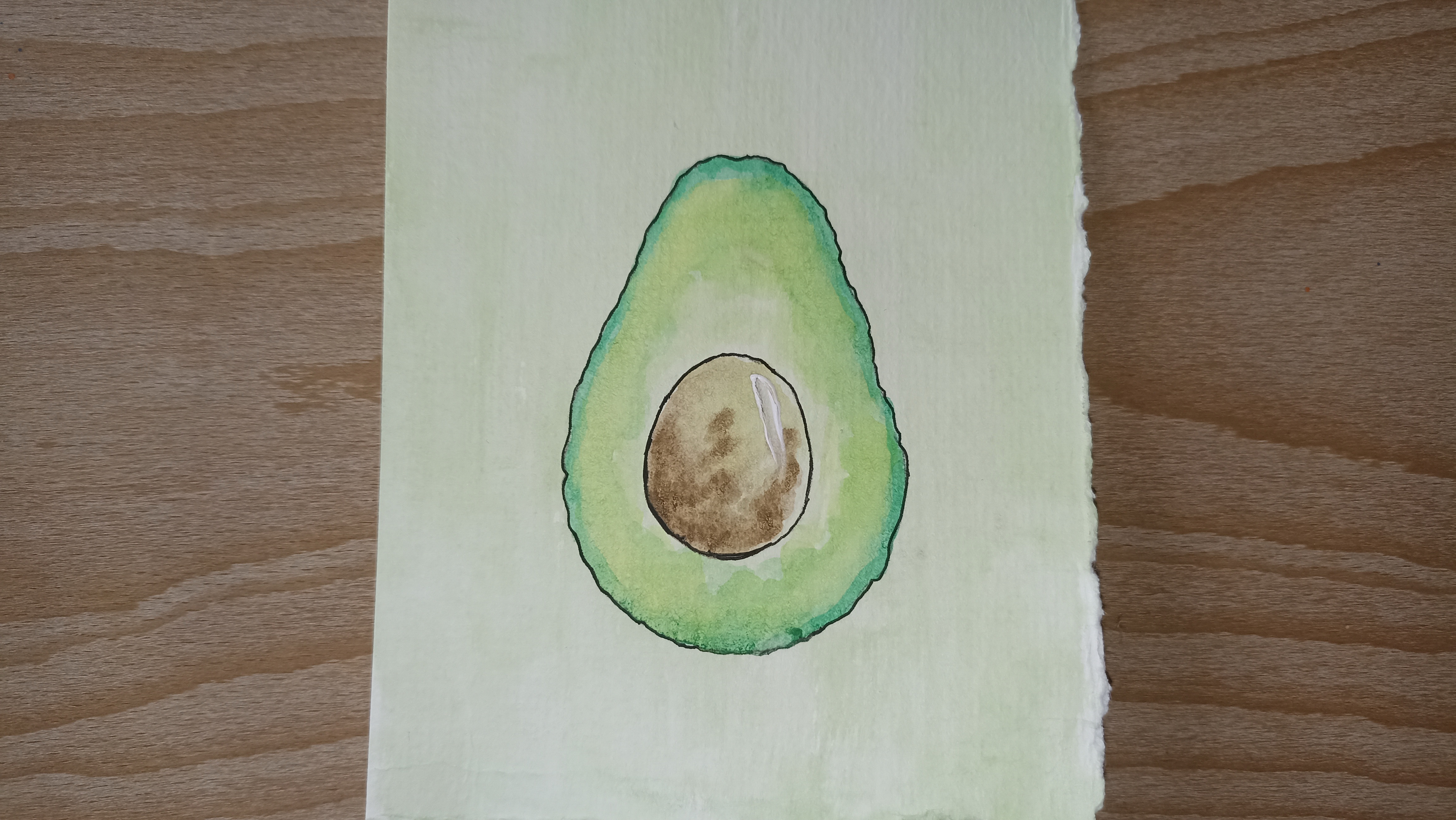 Авокадо / Рисунок акварелью