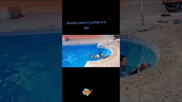 Ahora me encanta el agua #dog #dog#dogs#dogslide #dogs#dogslove #yorkshire#perritos #per...