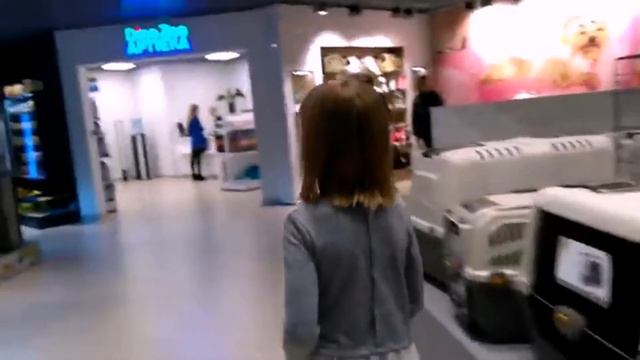 Прыжки на батутах, открытие зоомагазина Dino Zoo