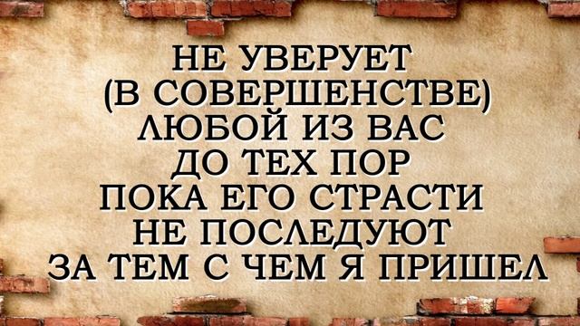 Хадис 41. Соблюдение шариата Аллаха Всевышнего является опорой веры