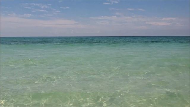 A look at the calm clear water of Navarre Beach and a few shells too!