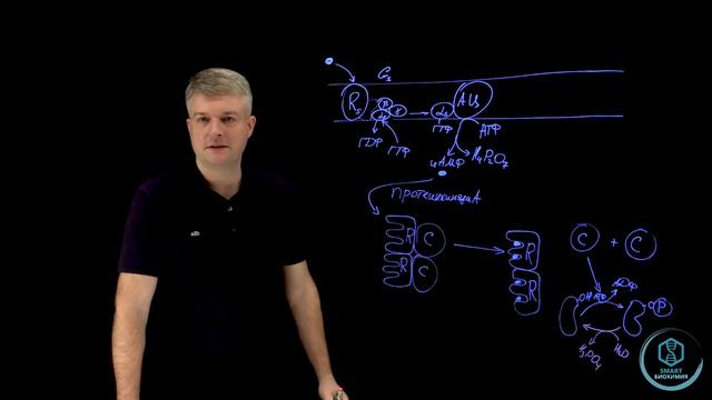 SmartБиохимия - Марафон - День 1. Аденилатциклазная система