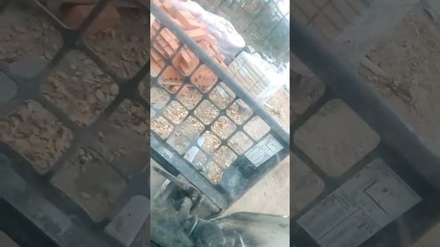 Складываем кирпичи бобкатам!!!!!!