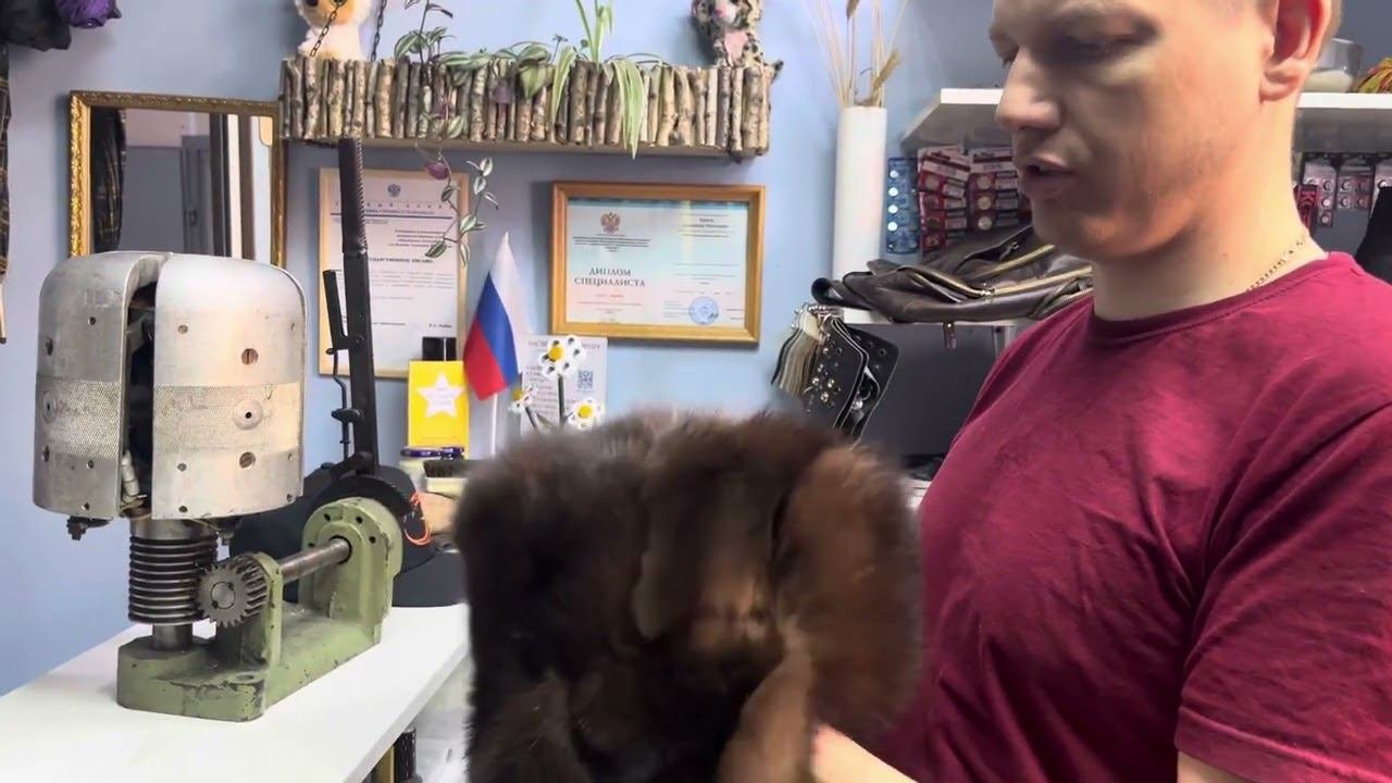 Растяжка головных уборов