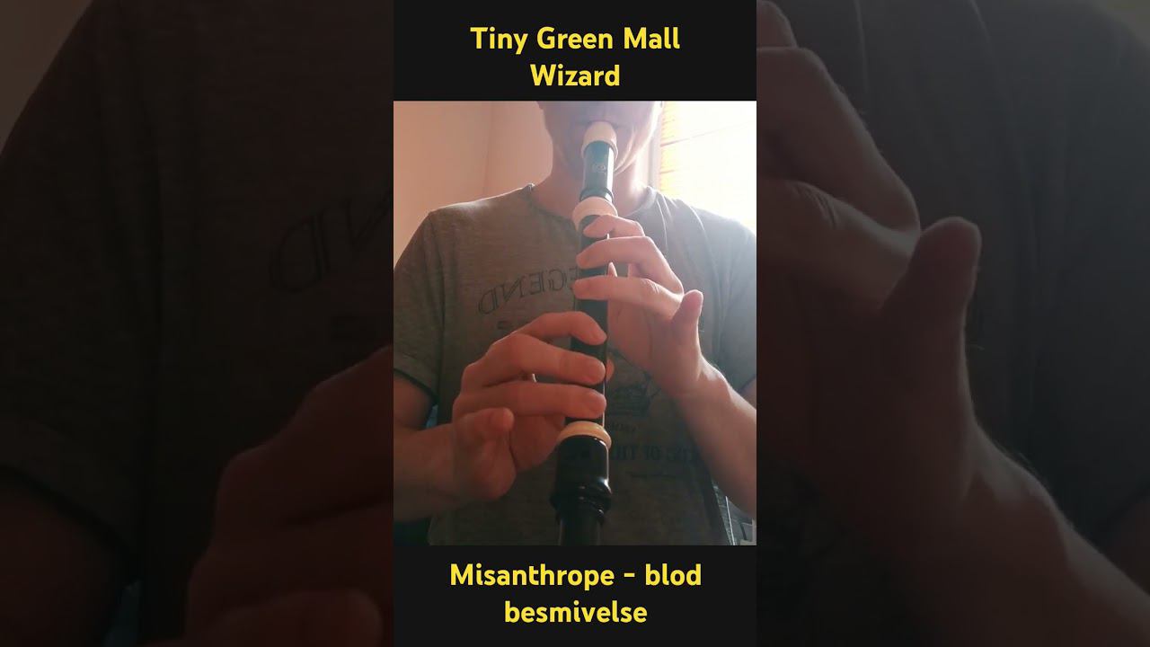Tiny Green Mall Wizard - alto recorder cover #TinyGreenMallWizard #tiktok #shorts