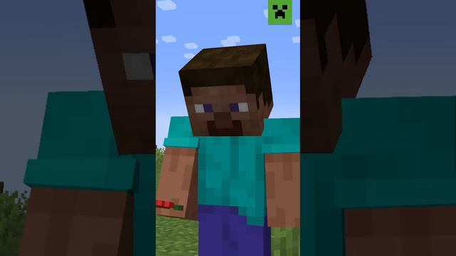 I WILL TRY TO REMEMBER YOU. MINECRAFT