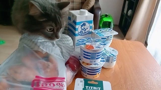Фили игрушка понравилась.Распаковка покупки.  #cat