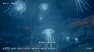 Assassin's Creed Odyssey - She Who Contols the Seas & Rumored Conch Shell location