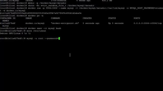 Lab 15 - Docker Containers