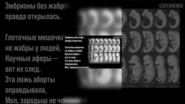 Эволюция и обман