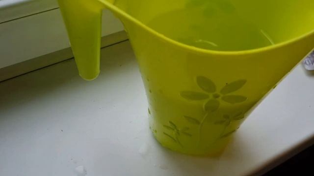 Одна капсула на литр воды, и даже слабый замиокулькас воспрянет и разрастётся быстро как никогда!