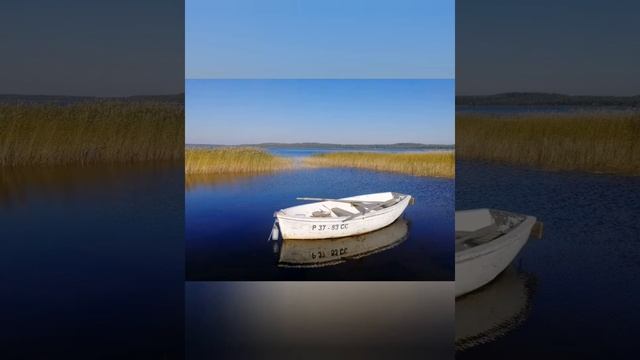 #Участки на Вуоксе# ИЖС у Воды # Участки на берегу реки # Участки ИЖС #89213875748