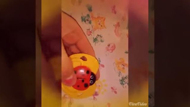 Наши пустышки.