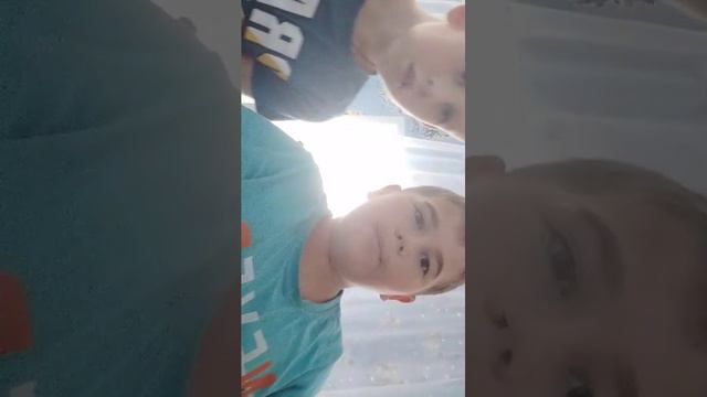 будяки