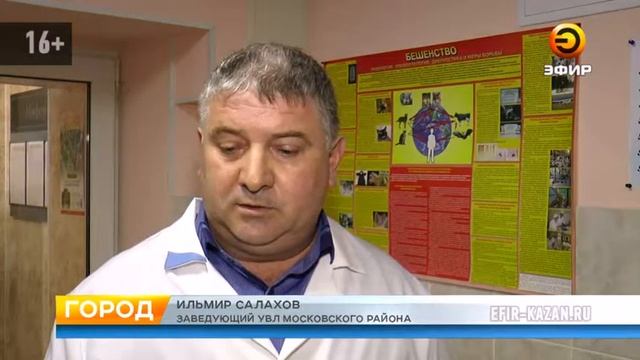 В Казани началась вторая волна массовой вакцинации домашних животных от вируса бешенства