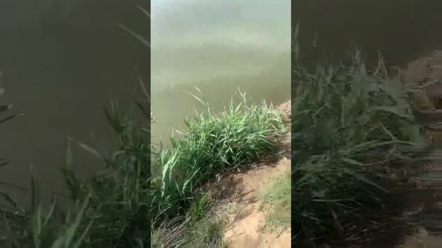 рыбалка 5 сентября дгк х Лебеди