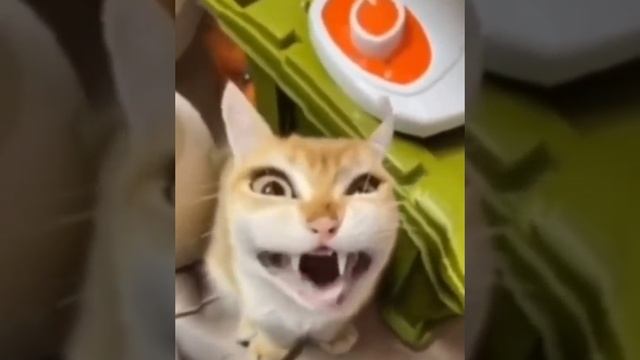 ржака