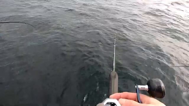 NJ Boat fishing for Cod & Ling, Dauntless, Point Pleasant. 3/11, 2021