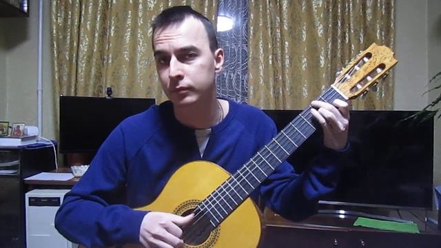 Виницкий Розовый слон на гитаре