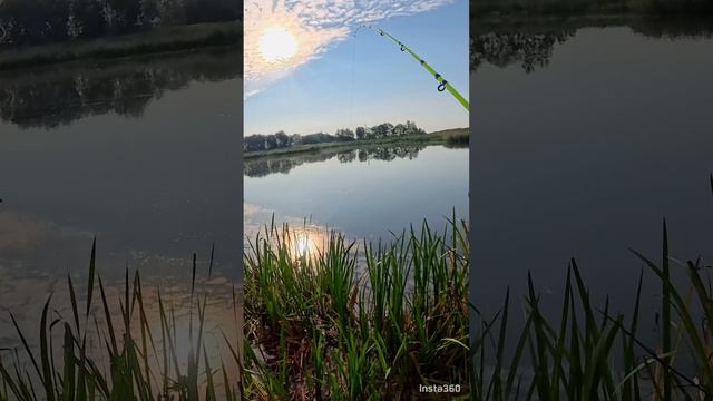 Карась на рассвете 🏕️🌞👍🎣