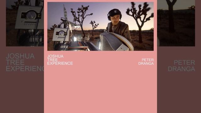Joshua Tree Experience