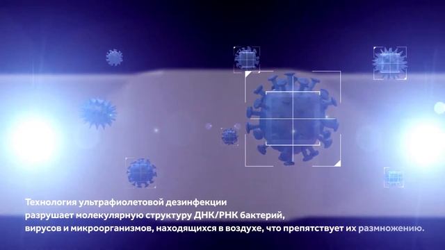UV Ray рус
