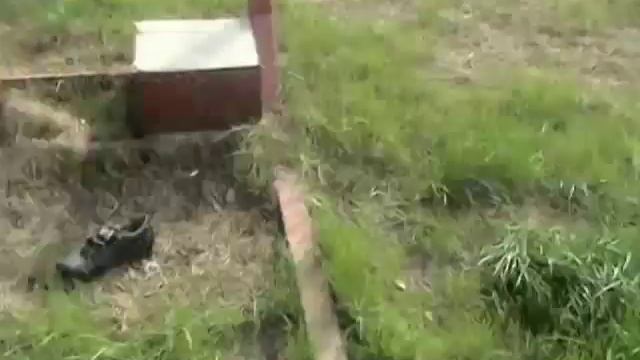 Видео отчет с рыбхоз Бисерово.mp4