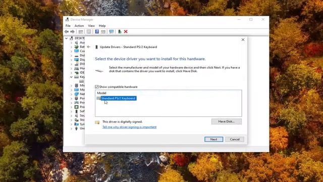 CtrlA CTRLC and CTRLV Do Not Work in MS Word FIX