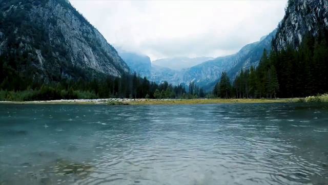 Плата за знания -притча про Насредина.