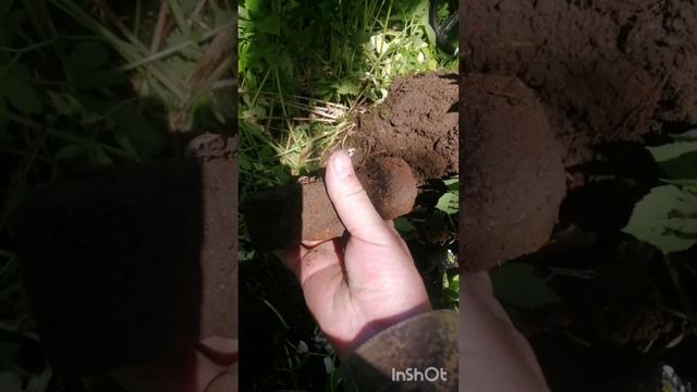 Хорошие находки