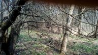 Логово дикого кабана!!! Страшно капец