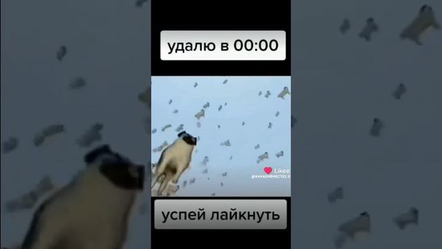 мем