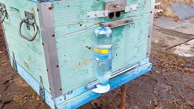 Ульевая поилка для пчёл весной
