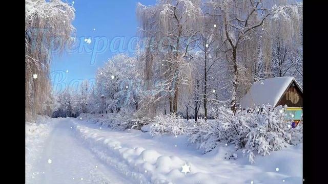 2.12.2023 утро день вечер 1 аниме
