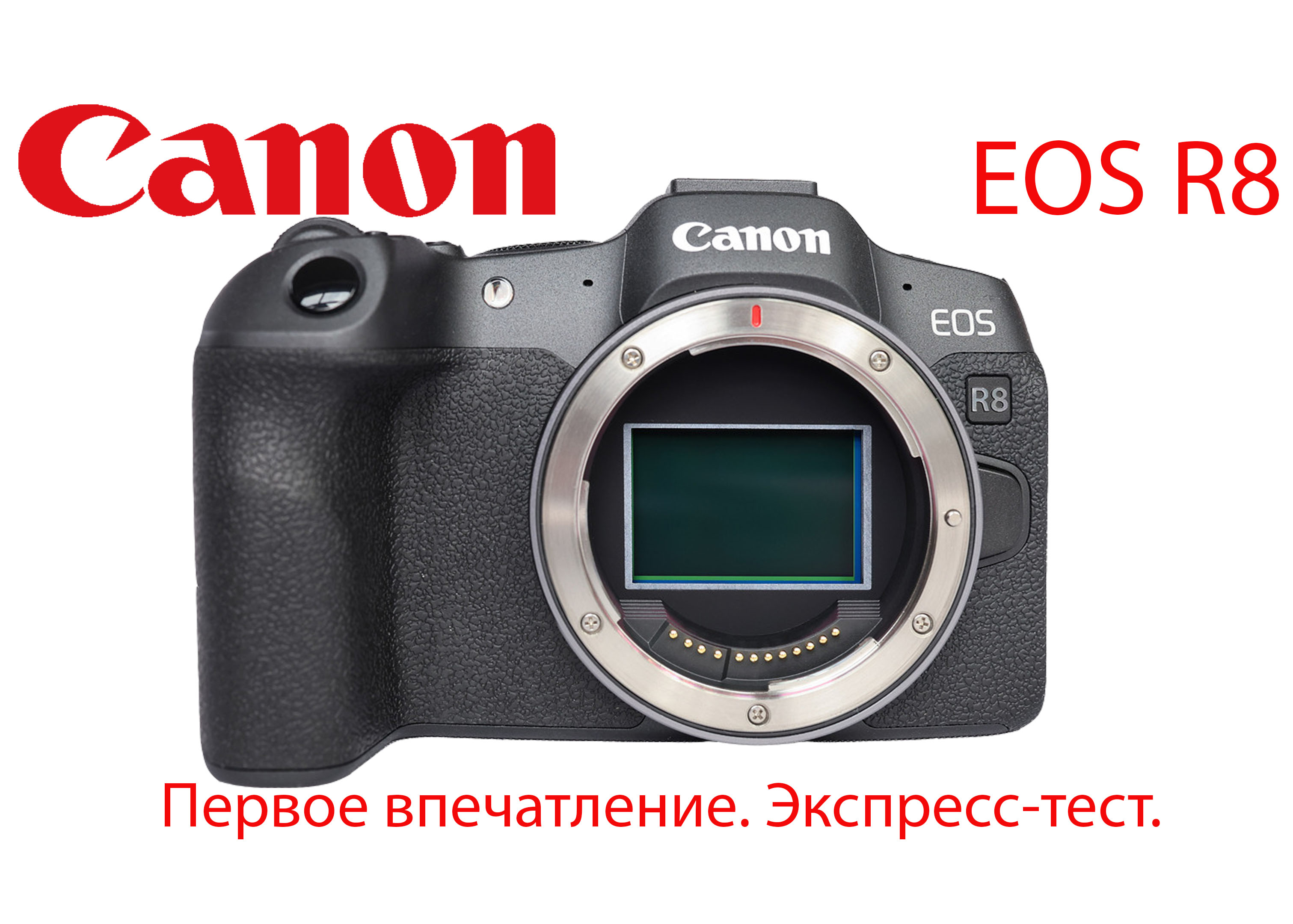 Canon EOS R8. Экспресс тест. Первое впечатление от камеры.