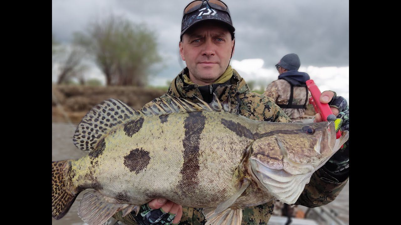 Ауха, верхогляд и щука продолжают радовать своими поклевками.