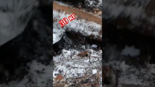 30кг#зимаМыКопаем#черныйМегаКоп#находки