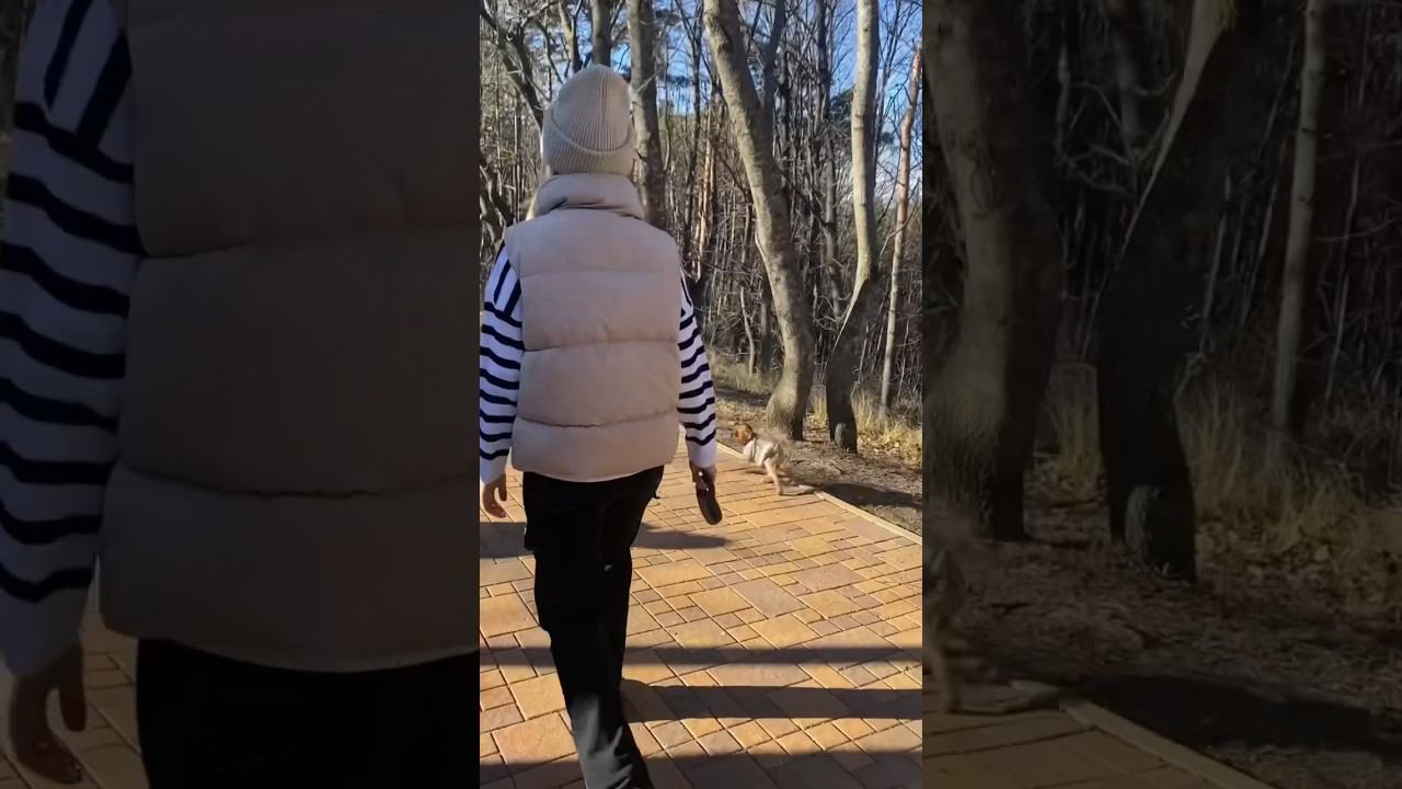 Amazing Holidays️  #кисловодск
