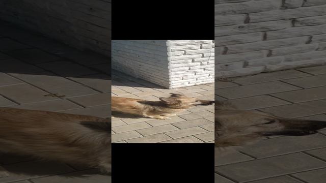 20240820_104407.mp4