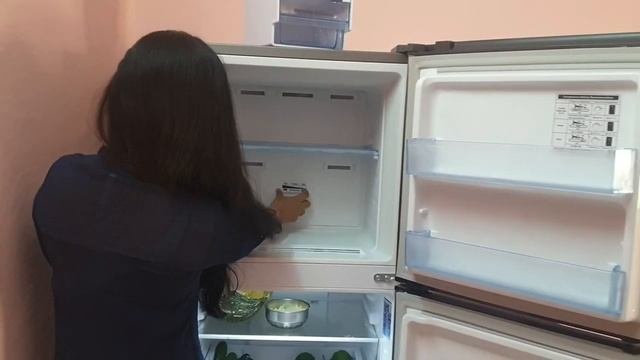 Samsung 253 L Double Door Refrigerator Feedback  FAQs