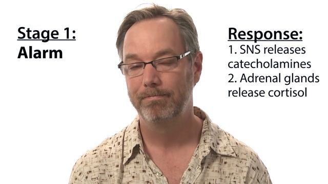 Three stages of stress response - Intro to Psychology