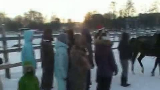 Не за елками 2010.Новогодняя фантазия.