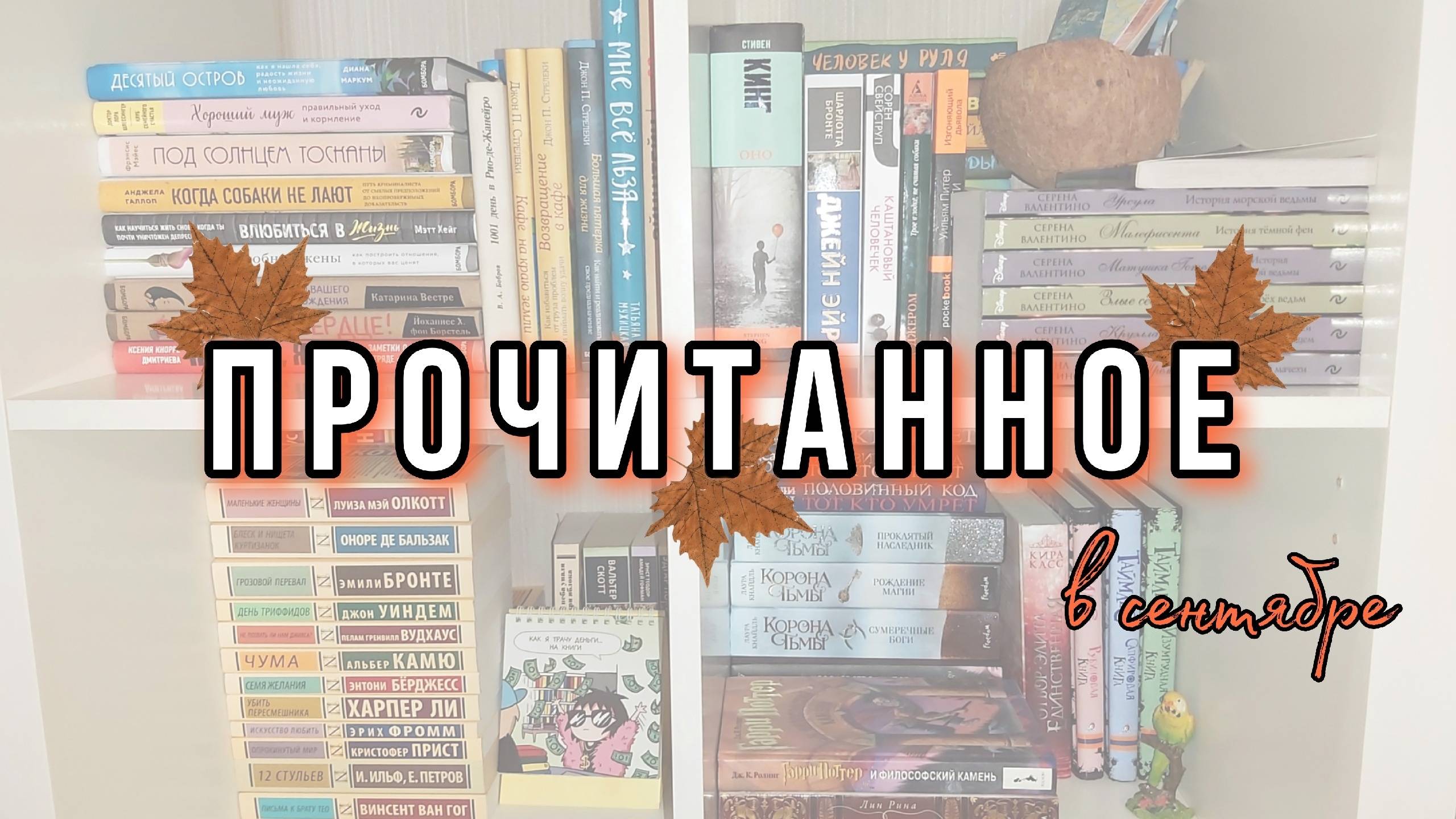 ЧИТАЛА В СЕНТЯБРЕ 📖🍁 и летом 🌱🌻 ПРОЧИТАННОЕ за последнее время 😍