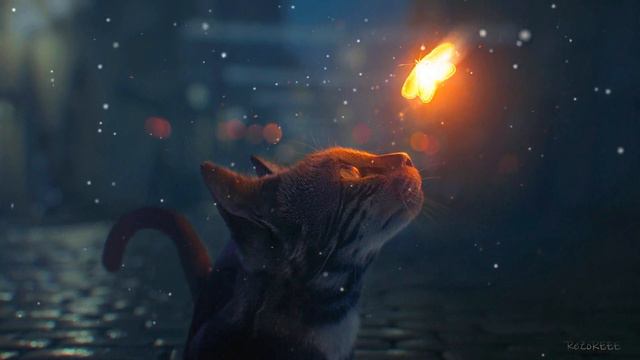 Кот Наблюдающий за Сказочной Бабочкой | Cat Looking At Glowing Fairy Butterfly - Живые Обои