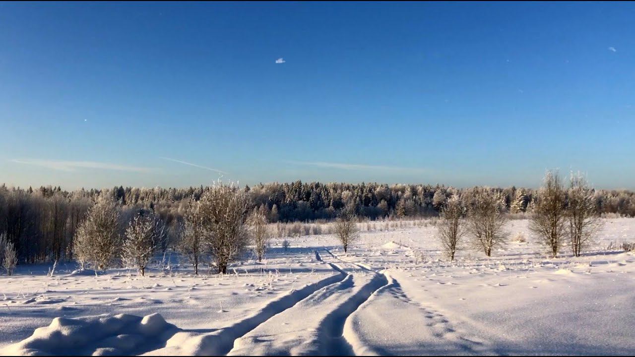 77. Каким был 2021... Новогодний розыгрыш. Жизнь на своей земле