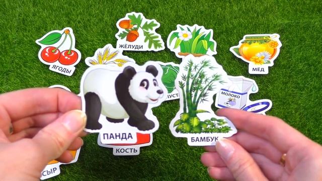 Развивающая игра видео для детей "КТО ЧТО ЕСТ?" про животных/ смотрим и  играем/