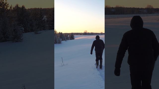 Мои любимые лесные лыжи