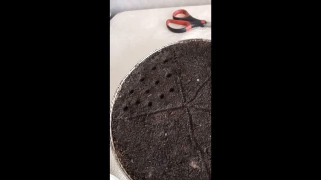 Посев семян томатов на рассаду 2020