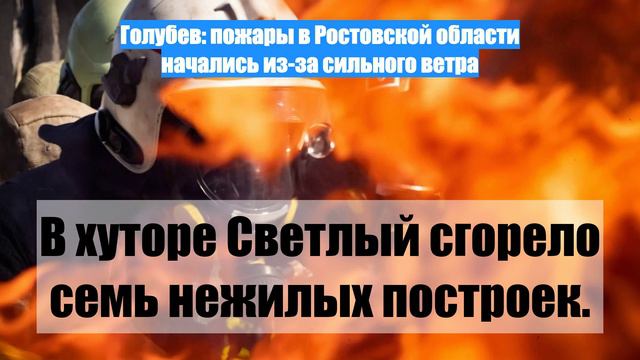 Голубев: пожары в Ростовской области начались из-за сильного ветра