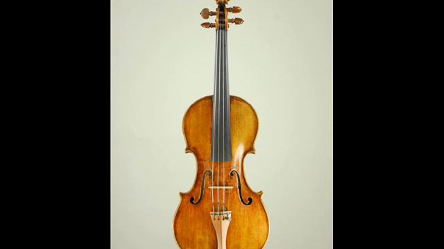 vst instrument,....real similarity of musical instruments